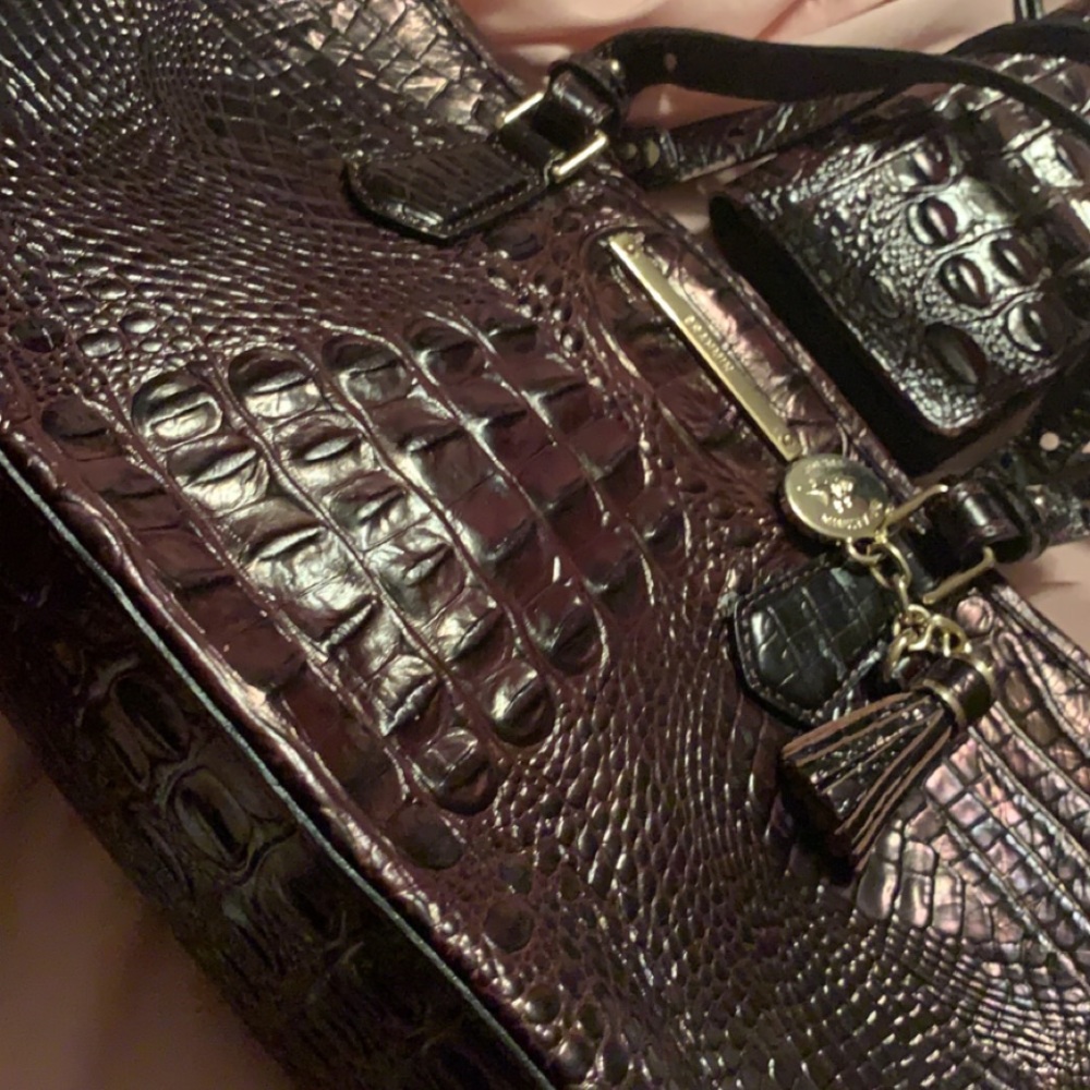 Brahmin mid size